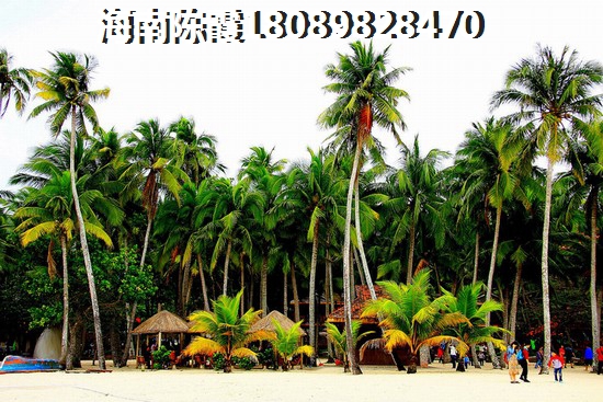 鸿坤山海墅Pk香榭花园买房优势是什么？外地人退休后可以在海南三亚购房吗？，外地人退休后可以在海南三亚购房吗？